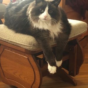 Meet your Posher, Dina